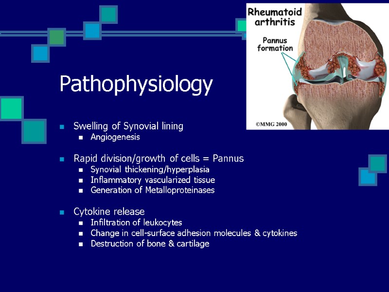 Pathophysiology Swelling of Synovial lining Angiogenesis  Rapid division/growth of cells = Pannus Synovial